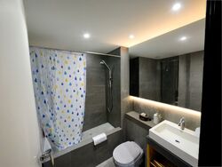 Mount Sophia Suites (D9), Apartment #503012221